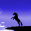 Ombre d'un cheval devant un ciel �toil�